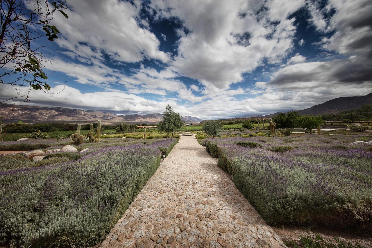 Estancia Colome Molinos Εξωτερικό φωτογραφία