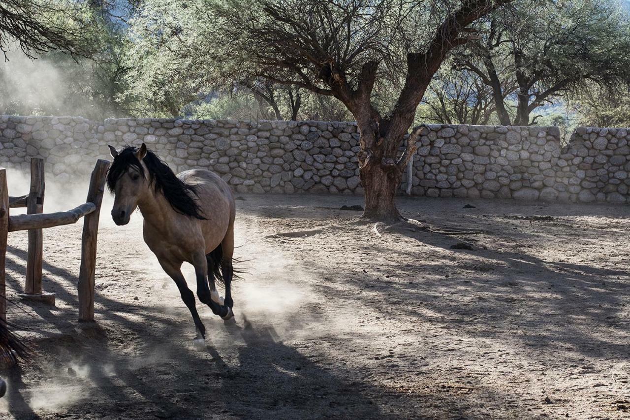 Estancia Colome Molinos Εξωτερικό φωτογραφία